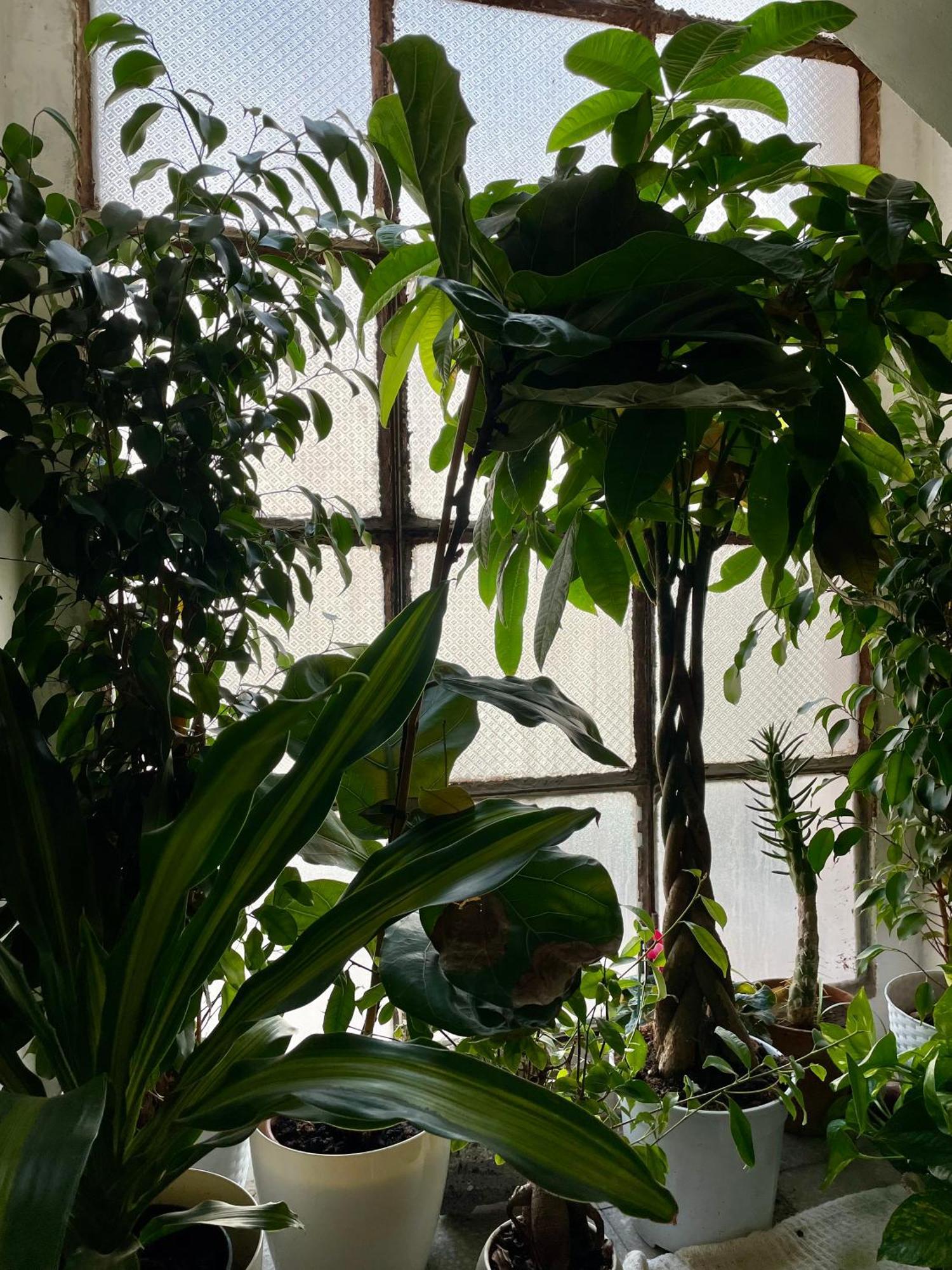 Lorenzo'S House Catania City Centre - Comfortable Large Apartment With 2 Bedrooms And 2 Baths, Close To Trains, Metro And Bus Station Kültér fotó