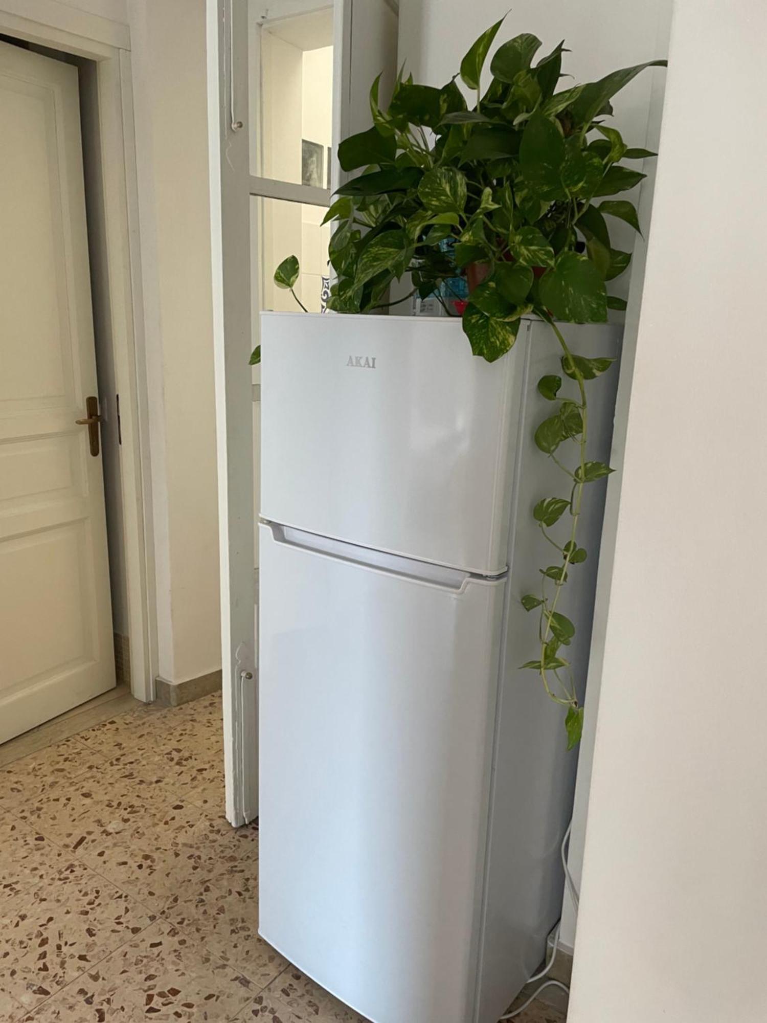 Lorenzo'S House Catania City Centre - Comfortable Large Apartment With 2 Bedrooms And 2 Baths, Close To Trains, Metro And Bus Station Kültér fotó